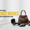Best Profitable Product Niches to Sell on Amazon UAE 100x100
