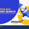 Amazon SEO Organic Search Ranking Factors in UAE 100x100